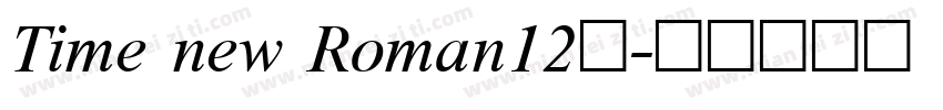 Time new Roman12号字体转换